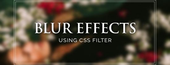 CSSで背景画像だけにブラー(ぼかし)エフェクトを加える方法 - Design Color