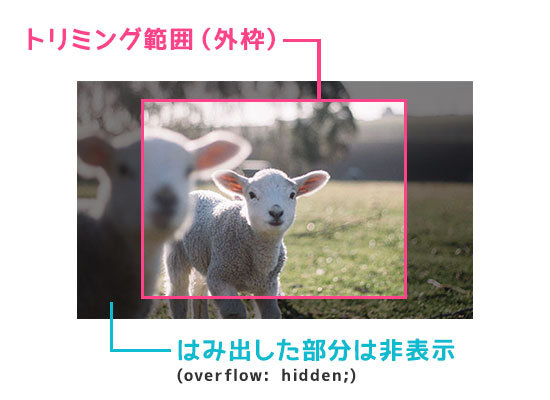 Photoshopいらず Cssで画像を中央トリミングする方法 レスポンシブ対応 Design Color